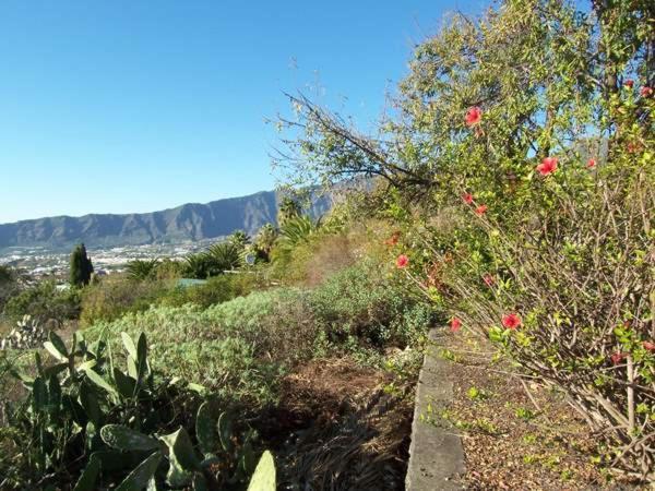 Casitas Vista Valle Bajo إل باسو المظهر الخارجي الصورة